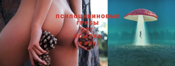 гашик Покров