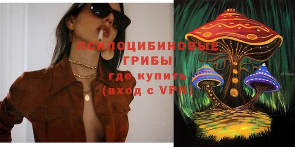 гашик Покров
