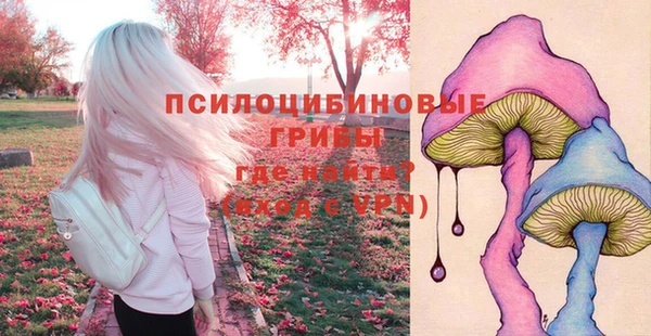МДМА Приозерск
