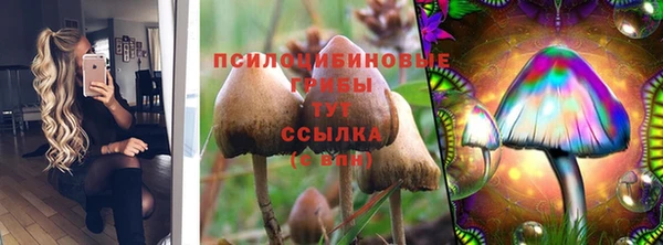 МДМА Приозерск