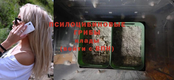 гашик Покров