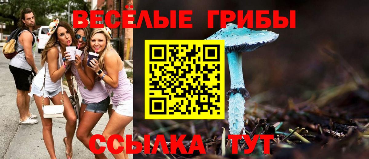 Кокаин  MDMA  Конопля  Большой Камень  ГАШ  Наркошоп  Меф кристаллы 