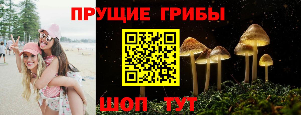 Псилоцибиновые грибы MAGIC MUSHROOMS  Псилоцибиновые грибы прущие грибы  Большой Камень 