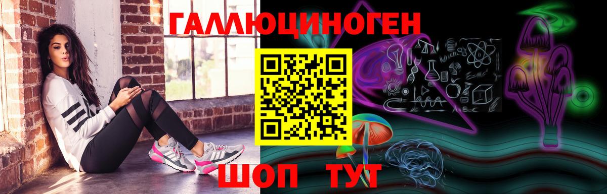 где купить наркотик  Псилоцибиновые грибы Psilocybe  Вход с VPN  Большой Камень 